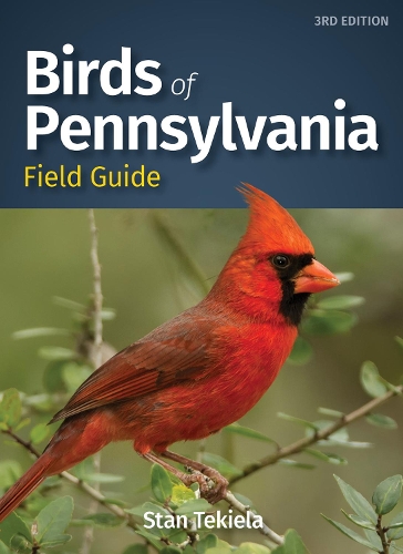 Бумажная книга «Birds of Pennsylvania Field Guide», автор Стэн Текила - фото №1