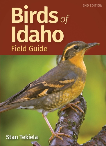 Бумажная книга «Birds of Idaho Field Guide», автор Стэн Текила - фото №1