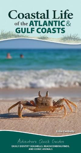 Бумажная книга «Coastal Life of the Atlantic and Gulf Coasts: Easily Identify Seashells, Beachcoming Finds, and Iconic Animals», автор Эрика Замбелло - фото №1
