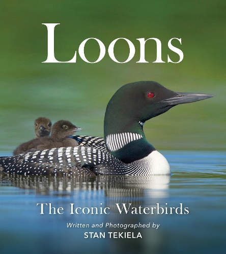 Бумажная книга «Loons: The Iconic Waterbirds», автор Стэн Текила - фото №1