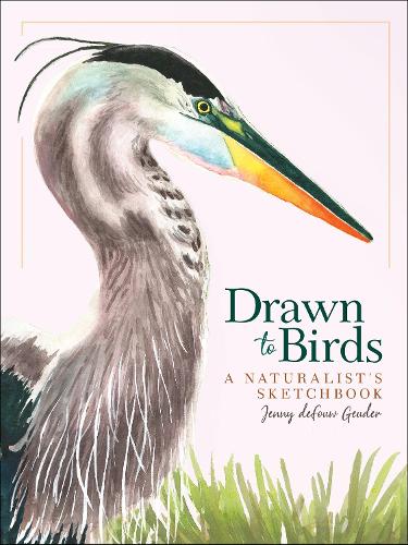 Бумажная книга «Drawn to Birds: A Naturalist's Sketchbook», автор Дженни деФув Гейдер - фото №1