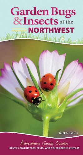 Бумажная книга «Garden Bugs & Insects of the Northwest: Identify Pollinators, Pests, and Other Garden Visitors», автор Джарет К. Дэниелс - фото №1