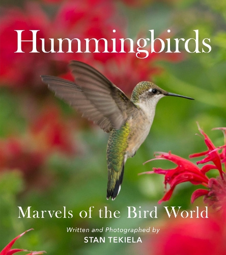 Бумажная книга «Hummingbirds: Marvels of the Bird World», автор Стэн Текила - фото №1