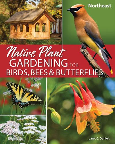 Паперова книга «Native Plant Gardening for Birds, Bees & Butterflies: Northeast», автор Джарет К. Деніелс - фото №1
