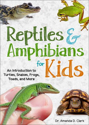 Бумажная книга «Reptiles & Amphibians for Kids: An Introduction to Turtles, Snakes, Frogs and Toads, and More», автор Аманда Д. Кларк - фото №1