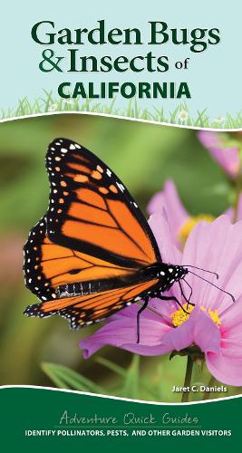 Бумажная книга «Garden Bugs & Insects of California: Identify Pollinators, Pests, and Other Garden Visitors», автор Джарет К. Дэниелс - фото №1