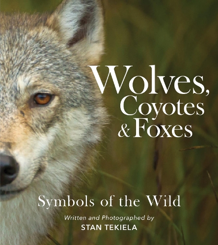 Бумажная книга «Wolves, Coyotes & Foxes: Symbols of the Wild», автор Стэн Текила - фото №1