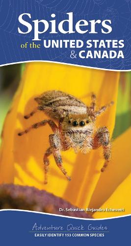 Бумажная книга «Spiders of the United States: A Guide to Common Species», автор Себастьян Алехандро Эчеверри - фото №1
