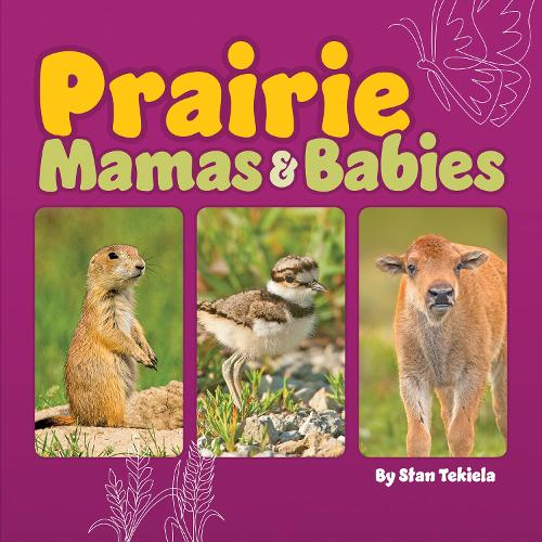 Паперова книга «Prairie Mamas and Babies», автор Стен Текіела - фото №1