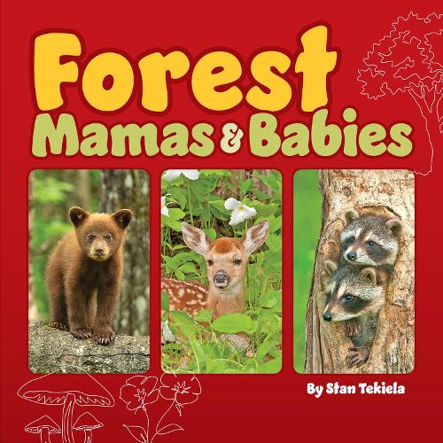 Паперова книга «Forest Mamas and Babies», автор Стен Текіела - фото №1