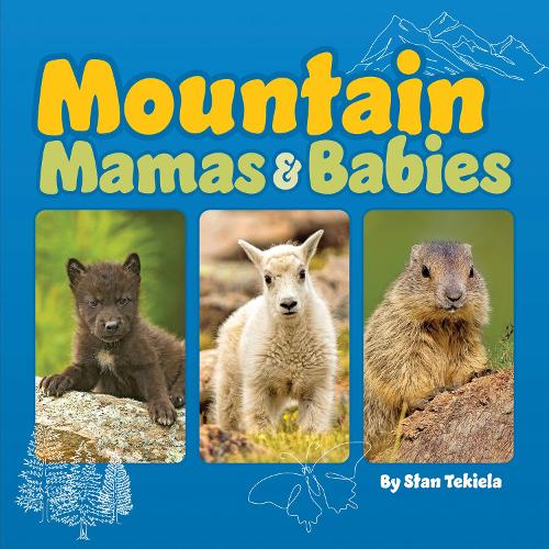 Бумажная книга «Mountain Mamas and Babies», автор Стэн Текила - фото №1