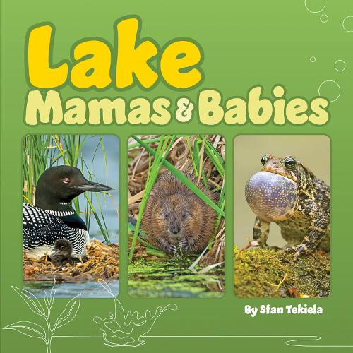 Бумажная книга «Lake Mamas and Babies», автор Стэн Текила - фото №1