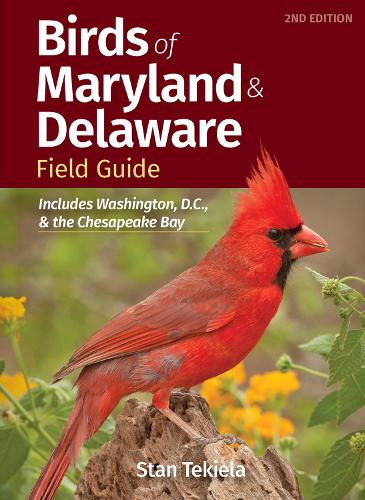 Бумажная книга «Birds of Maryland & Delaware Field Guide: Includes Washington, D.C., and Chesapeake Bay», автор Стэн Текила - фото №1