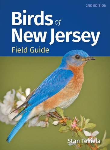 Бумажная книга «Birds of New Jersey Field Guide», автор Стэн Текила - фото №1
