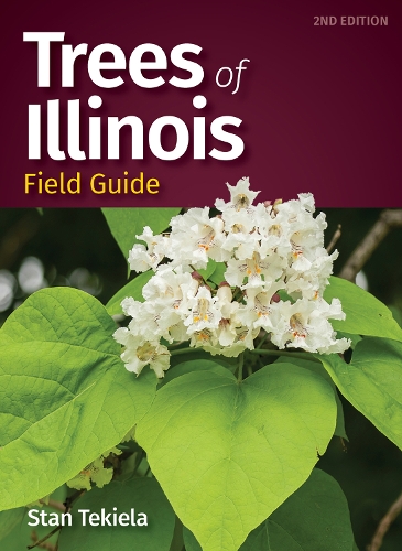 Бумажная книга «Trees of Illinois Field Guide», автор Стэн Текила - фото №1