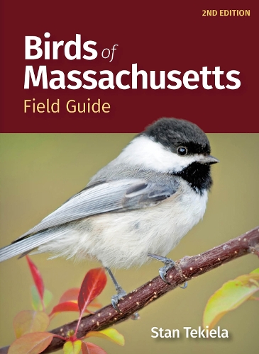 Бумажная книга «Birds of Massachusetts Field Guide», автор Стэн Текила - фото №1