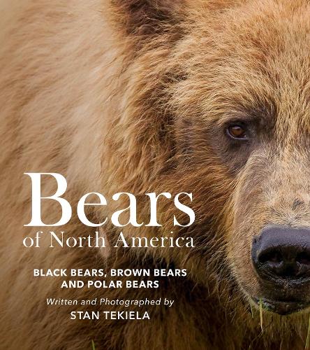 Бумажная книга «Bears of North America: Black Bears, Brown Bears, and Polar Bears», автор Стэн Текила - фото №1