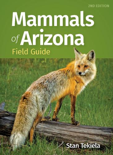 Бумажная книга «Mammals of Arizona Field Guide», автор Стэн Текила - фото №1