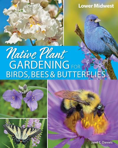Бумажная книга «Native Plant Gardening for Birds, Bees & Butterflies: Lower Midwest», автор Джарет К. Дэниелс - фото №1