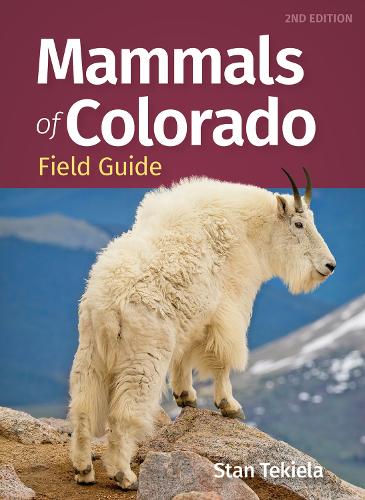 Бумажная книга «Mammals of Colorado Field Guide», автор Стэн Текила - фото №1