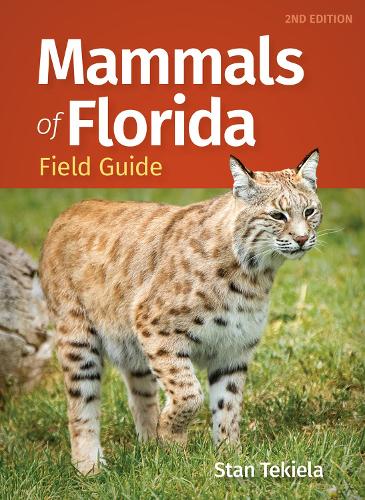Бумажная книга «Mammals of Florida Field Guide», автор Стэн Текила - фото №1