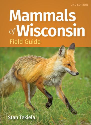 Бумажная книга «Mammals of Wisconsin Field Guide», автор Стэн Текила - фото №1