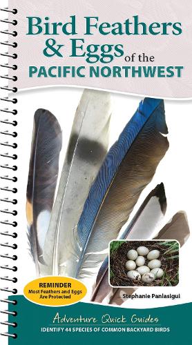 Бумажная книга «Bird Feathers & Eggs of the Pacific Northwest: Identify 44 Species of Common Backyard Birds», автор Стефани Панласигуи - фото №1
