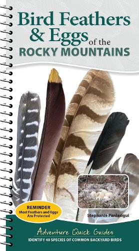 Паперова книга «Bird Feathers & Eggs of the Rocky Mountains: Identify 40 Species of Common Backyard Birds», автор Стефані Панласігі - фото №1
