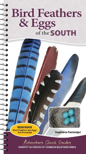 Бумажная книга «Bird Feathers & Eggs of the South: Identify 40 Species of Common Backyard Birds», автор Стефани Панласигуи - фото №1