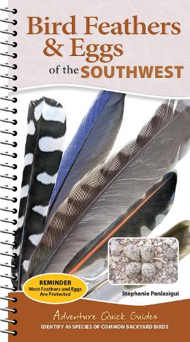 Бумажная книга «Bird Feathers & Eggs of the Southwest: Identify 40 Species of Common Backyard Birds», автор Стефани Панласигуи - фото №1