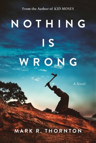 Бумажная книга «Nothing Is Wrong: A Novel» - фото №1