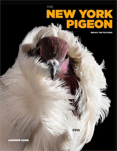 Паперова книга «The New York Pigeon» - фото №1