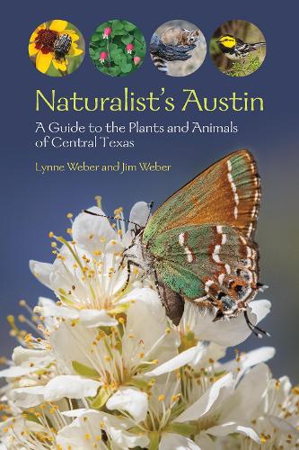 Бумажная книга «Naturalist's Austin: A Guide to the Plants and Animals of Central Texas», авторов Джим Вебер, Линн М. Вебер - фото №1