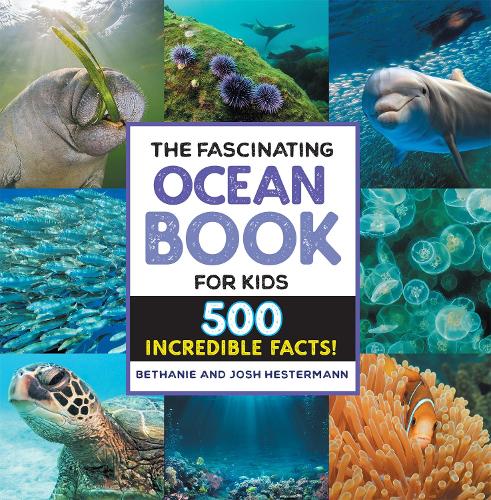 Паперова книга «The Fascinating Ocean Book for Kids: 500 Incredible Facts!», авторів Бетані Гестерманн, Джош Гестерманн - фото №1