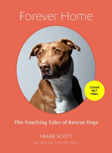 Бумажная книга «Forever Home: The Inspiring Tales of Rescue Dogs», автор Траер Скотт - фото №1