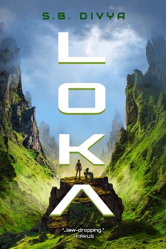 Паперова книга «Loka», автор С. Б. Дівія - фото №1