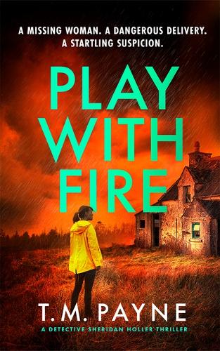 Паперова книга «Play With Fire», автор Т. М. Пейн - фото №1