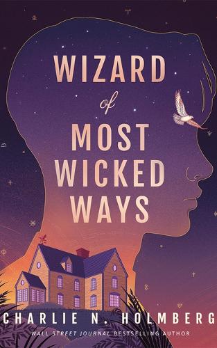 Бумажная книга «Wizard of Most Wicked Ways», автор Чарли Н. Холмберг - фото №1