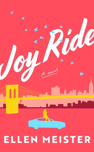 Паперова книга «Joyride: A Novel», автор Еллен Мейстер - фото №1