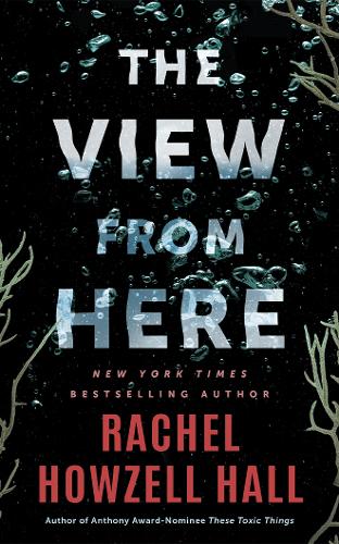 Бумажная книга «The View from Here: A Thriller», автор Рэйчел Хаузелл Холл - фото №1