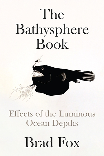 Бумажная книга «The Bathysphere Book: First Sight of the Ocean Depths», автор Брэд Фокс - фото №1