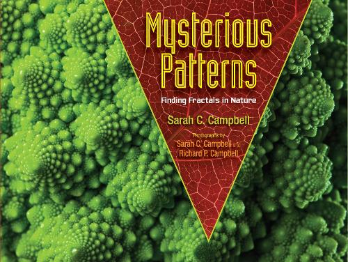 Бумажная книга «Mysterious Patterns: Finding Fractals in Nature», автор Сара К. Кэмпбелл - фото №1