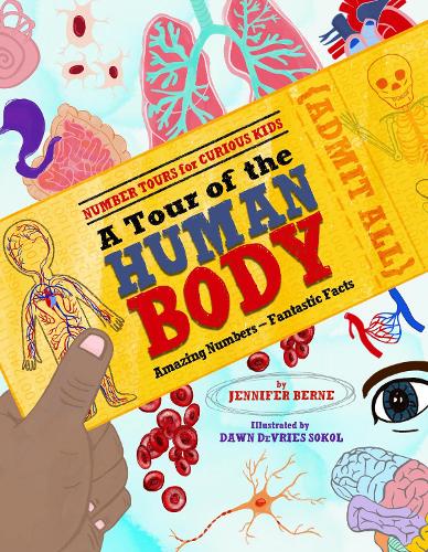 Бумажная книга «Tour of the Human Body, A: Amazing Numbers--Fantastic Facts», автор Дженнифер Берн - фото №1