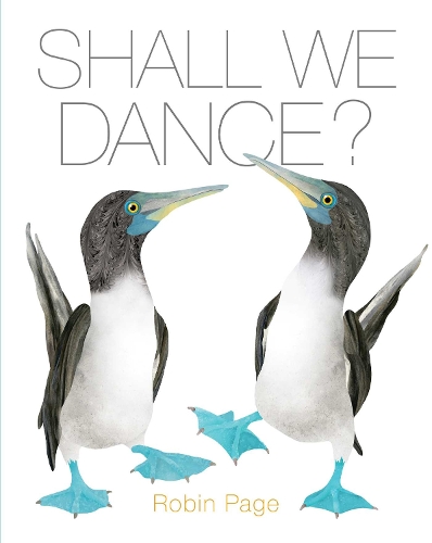 Паперова книга «Shall We Dance?», автор Робін Пейдж - фото №1