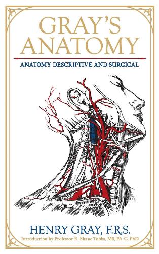 Бумажная книга «Gray's Anatomy: Anatomy Descriptive and Surgical», автор Генри Грей - фото №1