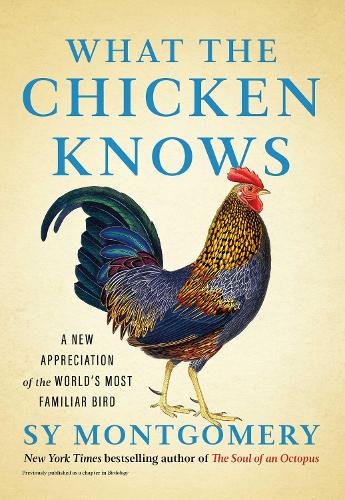 Паперова книга «What the Chicken Knows: A New Appreciation of the World's Most Familiar Bird», автор Сай Монтгомері - фото №1