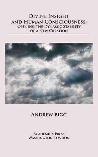 Паперова книга «Divine Insight and Human Consciousness: Opening the Dynamic Stability of a New Creation», автор Ендрю Бігг - фото №1