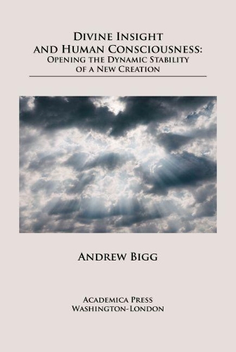 Бумажная книга «Divine Insight and Human Consciousness: Opening the Dynamic Stability of a New Creation», автор Эндрю Бигг - фото №1