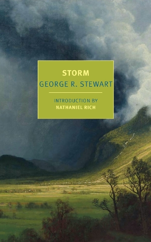 Паперова книга «Storm», авторів Джордж Р. Стюарт, Натаніель Річ - фото №1