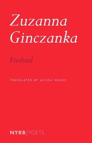 Бумажная книга «Firebird», автор Зузанна Гинчанка - фото №1